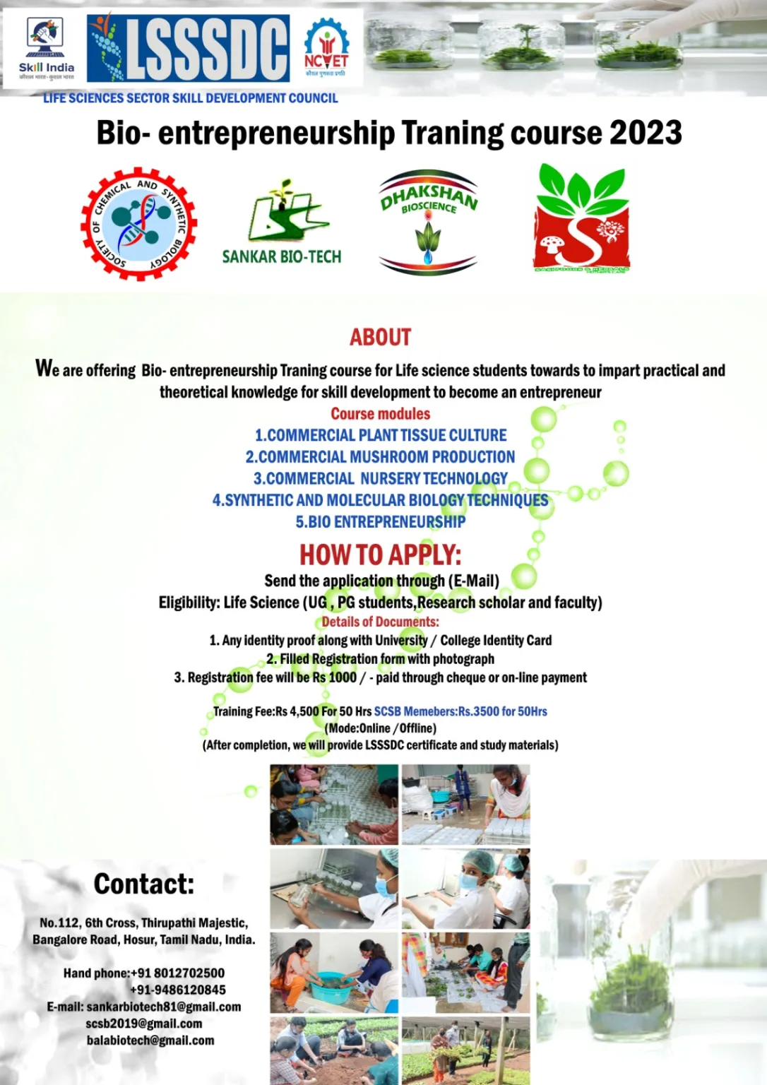 Internship Program