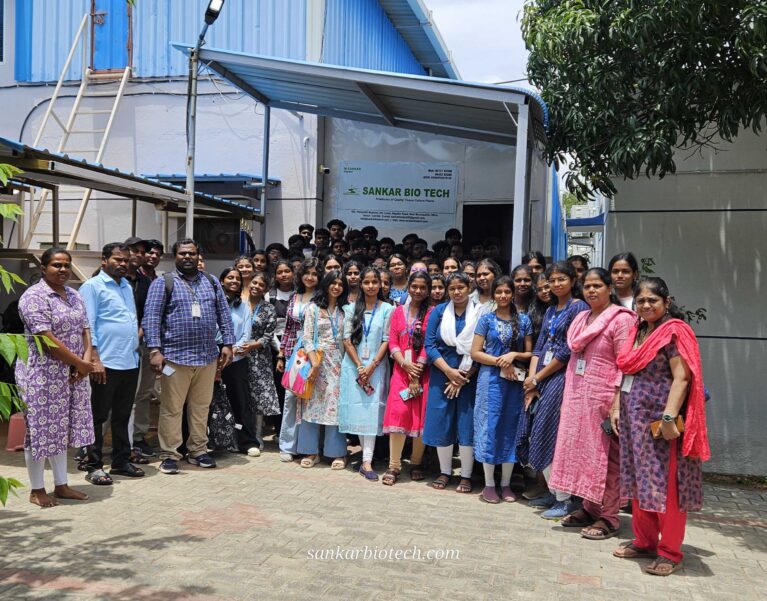 Internship Program